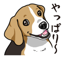 Daily Beagle sticker #12334107