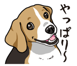 Daily Beagle sticker #12334107