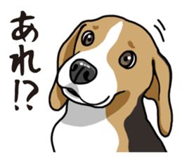 Daily Beagle sticker #12334108
