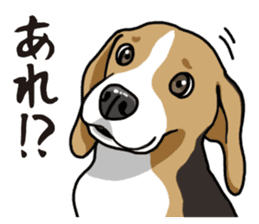 Daily Beagle sticker #12334108