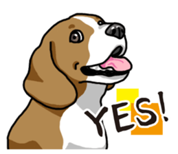 Daily Beagle sticker #12334110