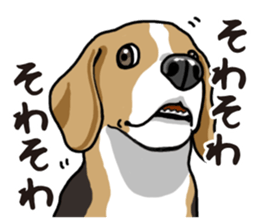 Daily Beagle sticker #12334112