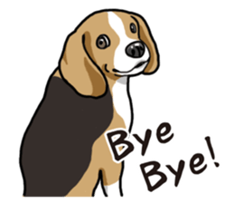 Daily Beagle sticker #12334114