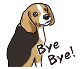 Daily Beagle sticker #12334114
