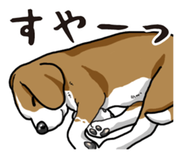 Daily Beagle sticker #12334115
