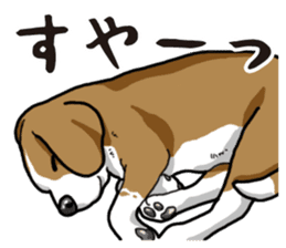 Daily Beagle sticker #12334115