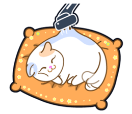 4 Cats From Sitara sticker #12334495