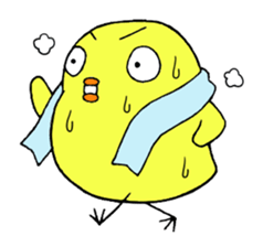 Anger chick sticker #12335216