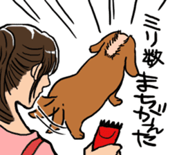 Dog groomer Sticker sticker #12337873