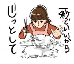 Dog groomer Sticker sticker #12337880