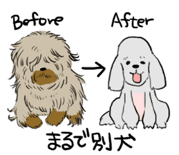 Dog groomer Sticker sticker #12337905