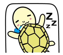 Tortoises of Lossy sticker #12339248