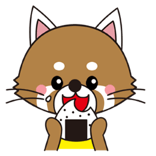 Lesser panda BOY 1 sticker #12339904