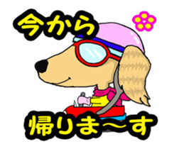 Friend of Dachshund sticker #12341586