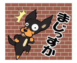 Friend of Dachshund sticker #12341602