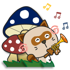 kacco's Raccoon-2(English)