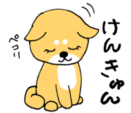 KenKunSticker sticker #12346717