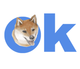 Shiba Huck sticker #12348898