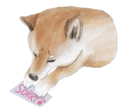 Shiba Huck sticker #12348899
