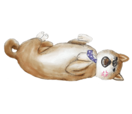 Shiba Huck sticker #12348908