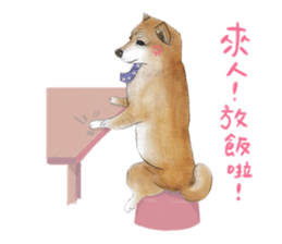 Shiba Huck sticker #12348917