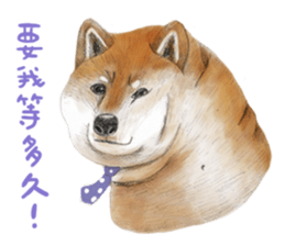 Shiba Huck sticker #12348921