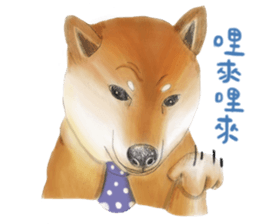 Shiba Huck sticker #12348922