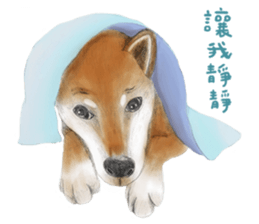 Shiba Huck sticker #12348933
