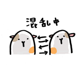 cavys poipoi 2 sticker #12349291