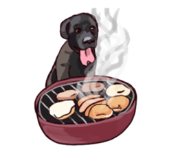 Big dogs over 50 sticker #12350161