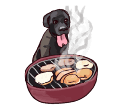 Big dogs over 50 sticker #12350161