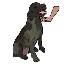 Big dogs over 50 sticker #12350162