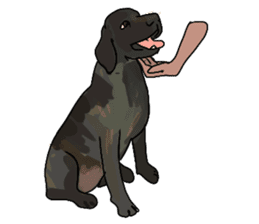 Big dogs over 50 sticker #12350162