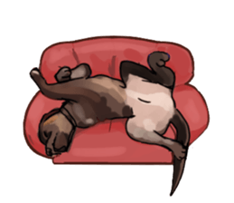 Big dogs over 50 sticker #12350163