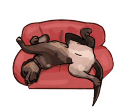 Big dogs over 50 sticker #12350163