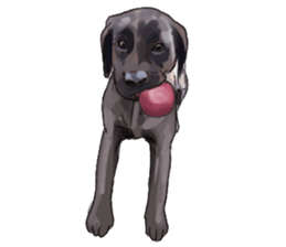 Big dogs over 50 sticker #12350167