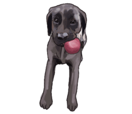 Big dogs over 50 sticker #12350167