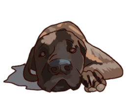 Big dogs over 50 sticker #12350168