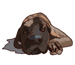 Big dogs over 50 sticker #12350168