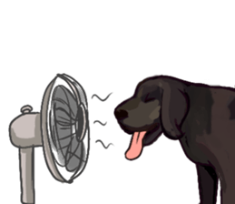 Big dogs over 50 sticker #12350169