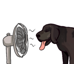 Big dogs over 50 sticker #12350169