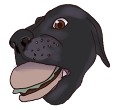 Big dogs over 50 sticker #12350170