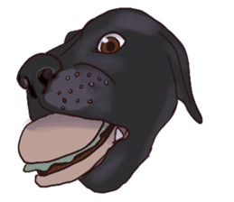 Big dogs over 50 sticker #12350170