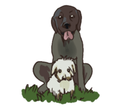 Big dogs over 50 sticker #12350172