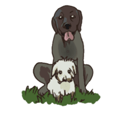 Big dogs over 50 sticker #12350172