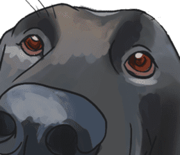 Big dogs over 50 sticker #12350174