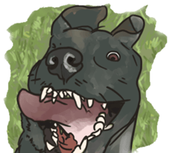 Big dogs over 50 sticker #12350175