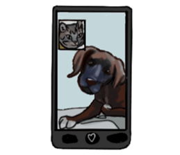 Big dogs over 50 sticker #12350179