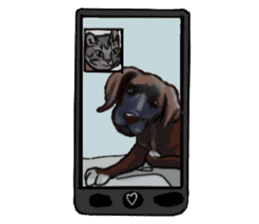 Big dogs over 50 sticker #12350179