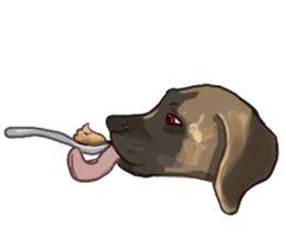 Big dogs over 50 sticker #12350180